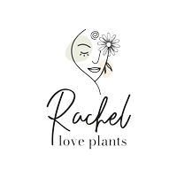 Rachel & Co-Comercializadora de planta ornamental