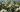 WhatsApp_Image_2025-05-21_at_12.01.48-min[1]
